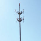 専門のテレコミュニケーション タワー、隠された松の木タワー